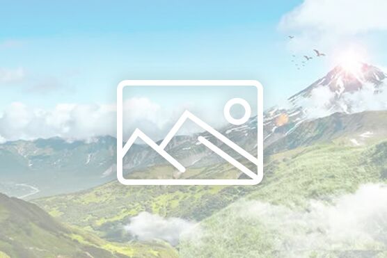 汽車(chē)產(chǎn)業(yè)是擴(kuò)大鋁應(yīng)用的大領(lǐng)域